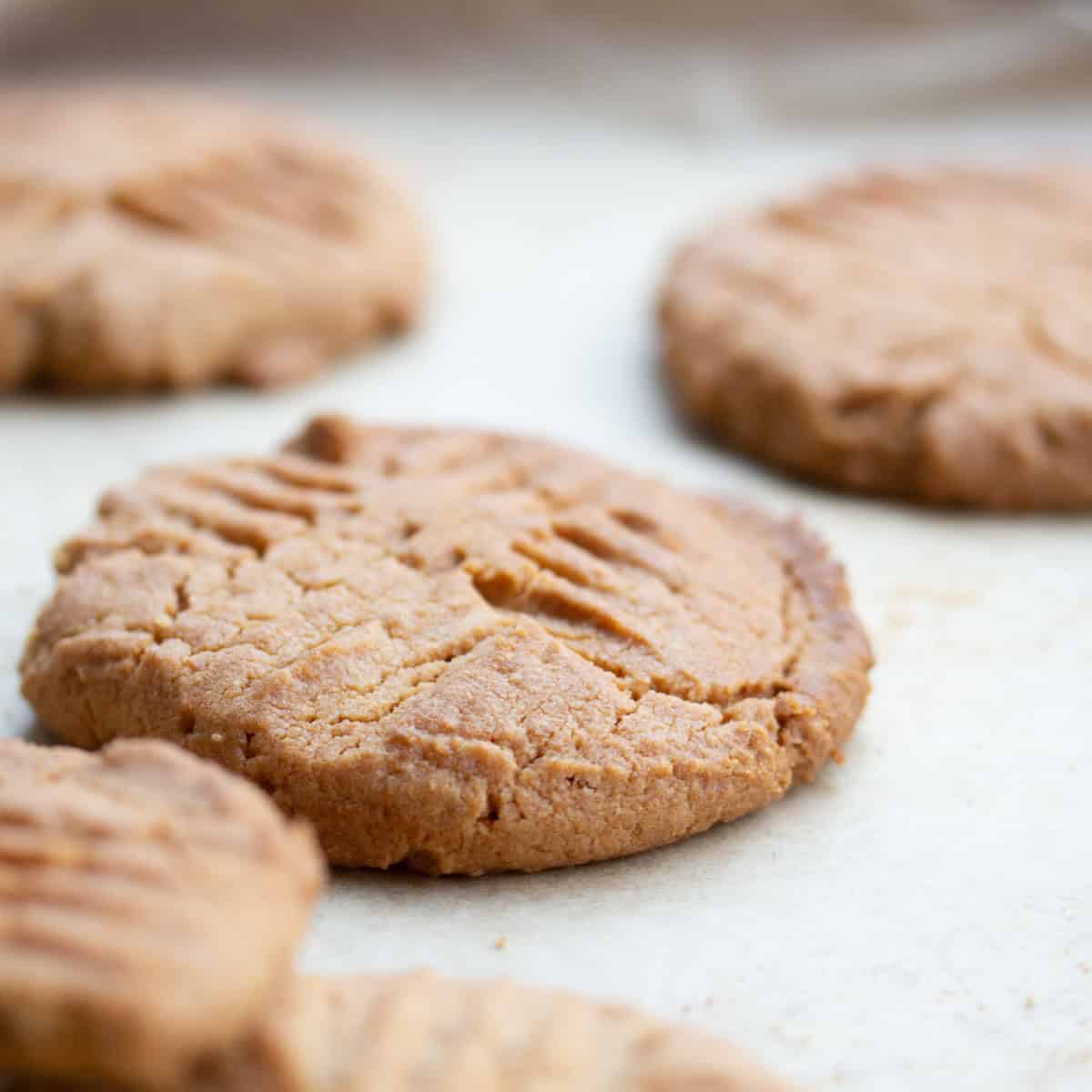 Peanut butter cookies on baking sheet.